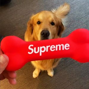 supreme dog bone